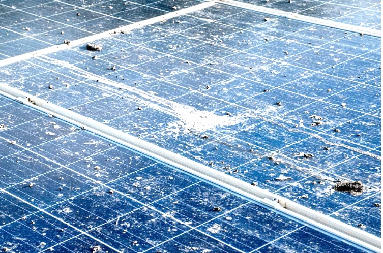 Residential solar panels heavily spotted with bird droppings